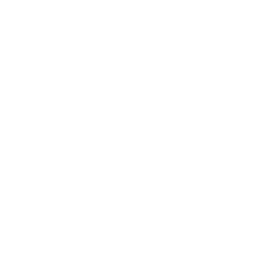 Logo branca da Ferretti Yachts